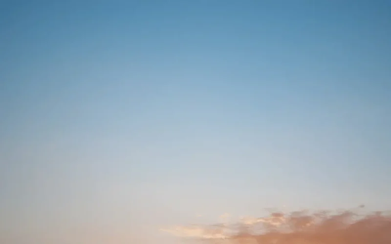 التسهيلات الضريبية: المالية تعلن طرح الحزمة الثانية للدعم في ديسمبر المقبل